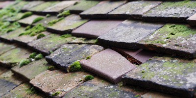 Selattyn roof repair costs